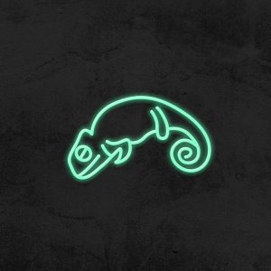 Caméléon - Neon LED