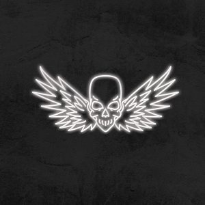 Tête de mort – Néon LED