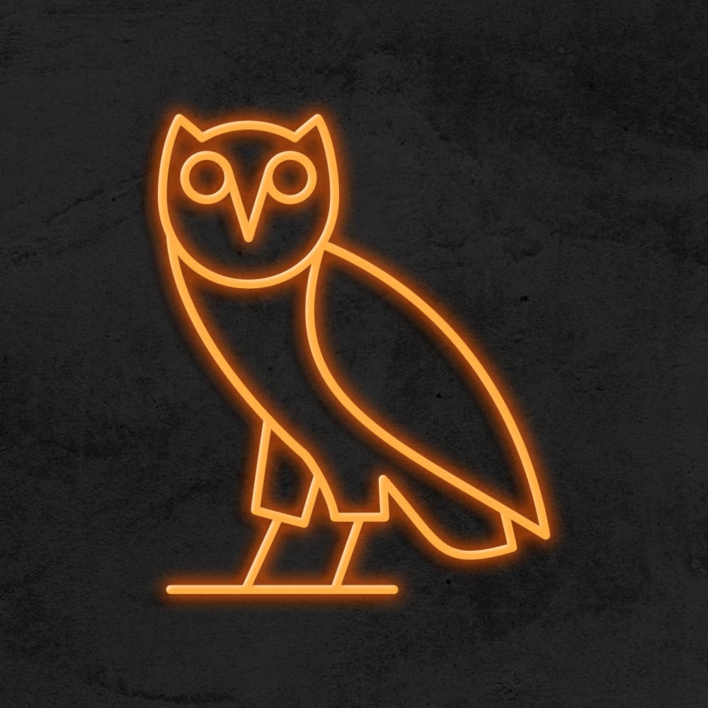OVO neon LED Drake la maison du neon